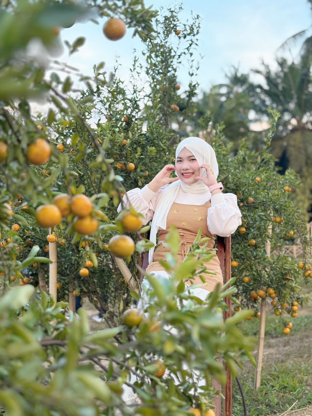 สวนส้มบ้านในไร่ อ.อ่าวลึก จ.กระบี่ 🍊🪴