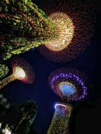 Gardens by the Bay, a must-visit attraction in Singapore!