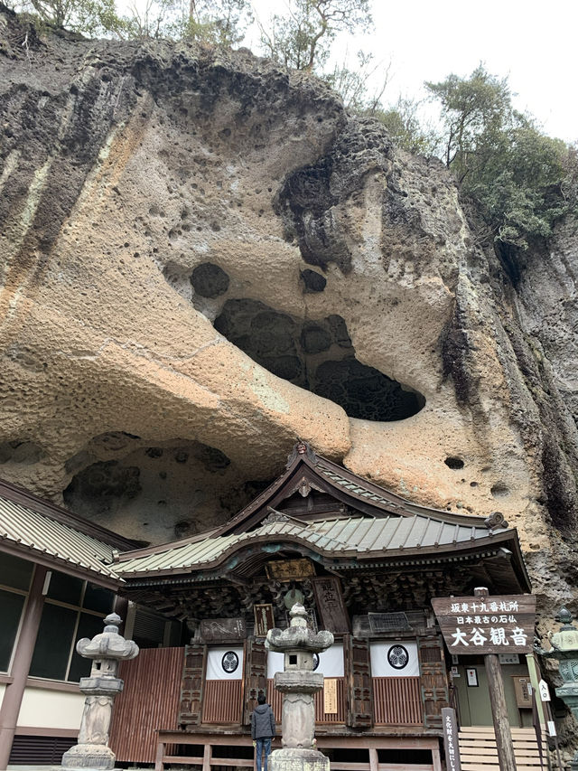 【栃木・宇都宮】宇都宮観光🥟