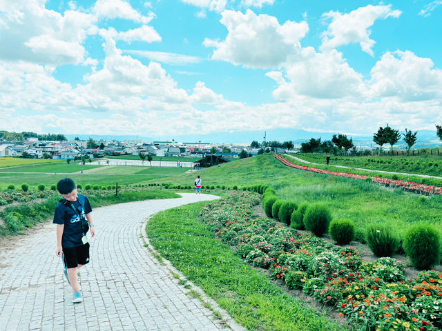 盛夏北海道：小木屋、富田農場、日之出公園與青池之旅