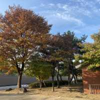 서울 용산 가볼만한 데이트 코스 추천 ▪️용산가족공원