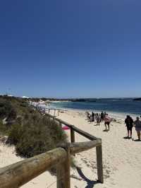 A Day at Pinky Beach, Rottnest Island