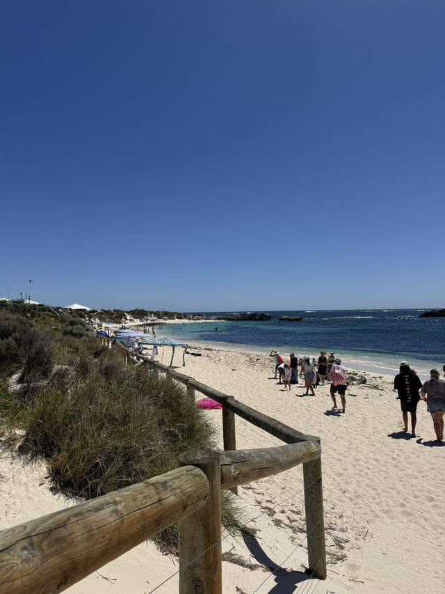 A Day at Pinky Beach, Rottnest Island