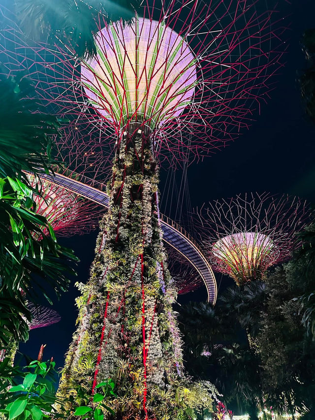 Disney Garden at Wonder’s of Floral Fantasy