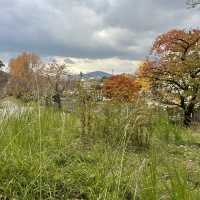 8 Days in Fukuoka