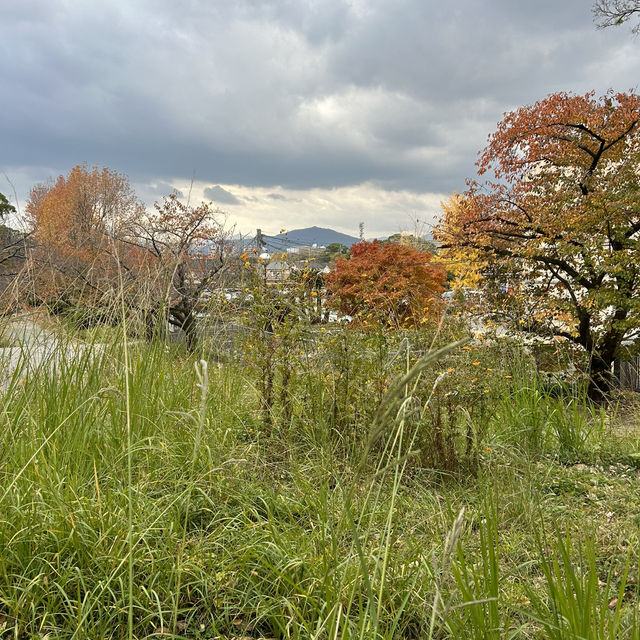 8 Days in Fukuoka