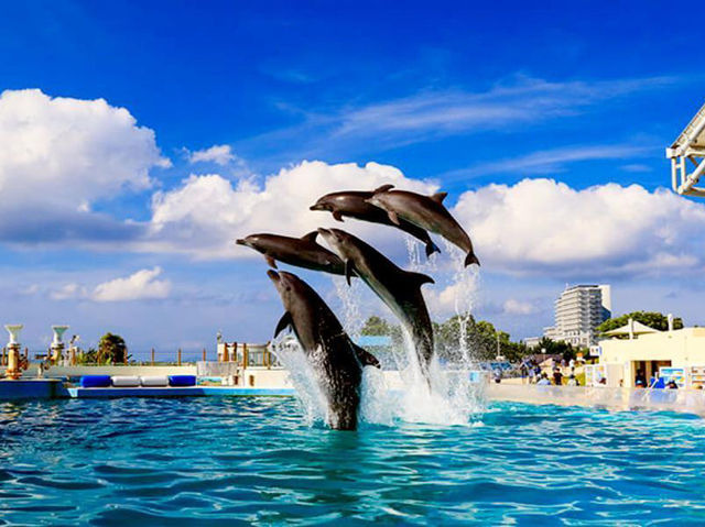水中生物的邂逅～美麗海水族館