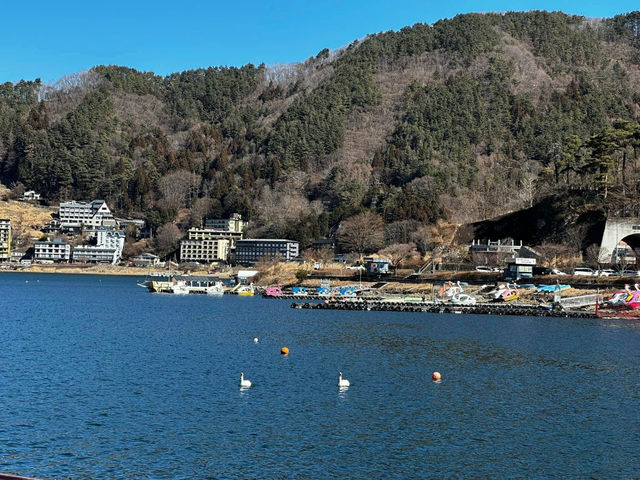 Sailing Serenity: A Ride on the Excursion Ship at Kawaguchiko 