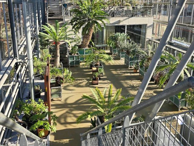 Leiden's Botanical Garden (Hortus Botanicus)