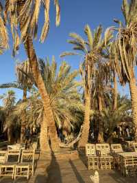【エジプト】最高のサンセットスポット🇪🇬