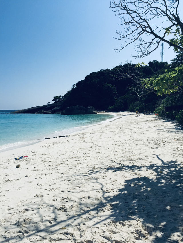 เกาะสิมิลัน น้ำใสทะเลสวย ดำน้ำฟินสุด
