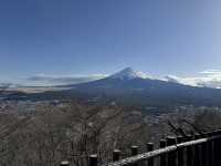 富士山 山中湖伊豆自駕遊之旅