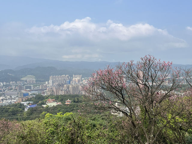 대만의 알려지지 않은 사진명소이자 멋진 전망대