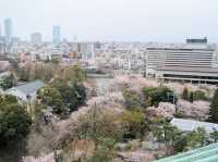 名古屋天守閣賞櫻美景