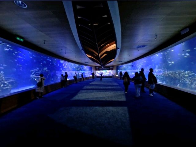 多麼神奇的水族館