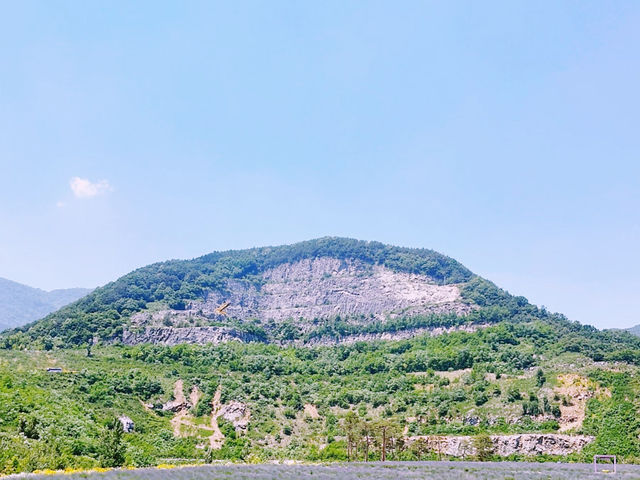 A Peaceful Escape to Mureung Byeol Yucheonji in Donghae