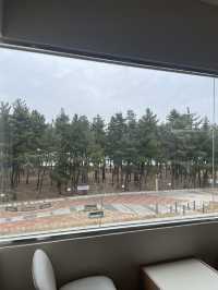 ☕ 속초 감성 카페 여행 일정 추천! 🌊✨