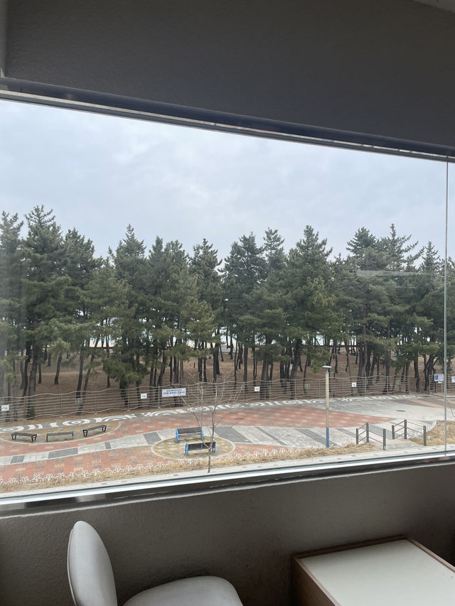 ☕ 속초 감성 카페 여행 일정 추천! 🌊✨