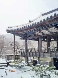 눈의 나라가 아니라 경남 월성계곡입니다❄️