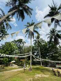 ในสวนศรี พัทลุงบ้านฉัน คาเฟ่กลางสวน ชิลๆ สบายๆ
