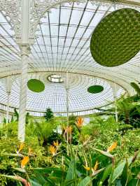 Glasgow Botanic Gardens: A Lush, Free Oasis in the City