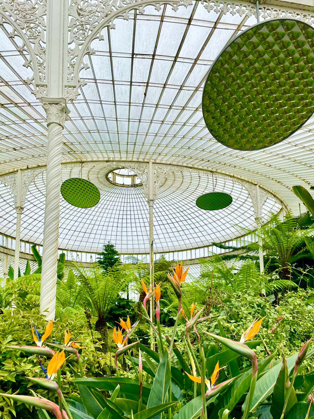 Glasgow Botanic Gardens: A Lush, Free Oasis in the City