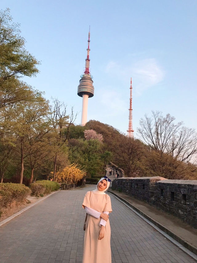 Sunset 🌅 and romantic cherry blossom view from Namsan Tower🗼