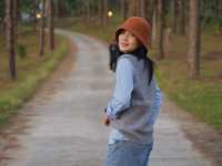 ลานกางเต็นท์กลางป่าสน “สวนป่าดอยบ่อหลวง”