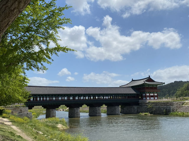 경주 야경 명소 강력 추천 ▪️월정교