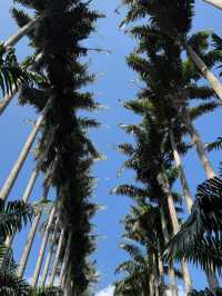Sri Lanka: A Little Island with a Lot to Offer