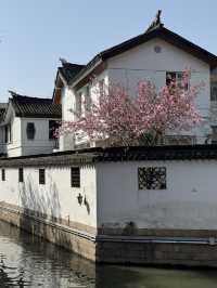 Morning Serenity: A Quiet Stroll Along Suzhou’s Enchanting Pingjiang Road