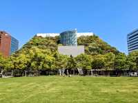 福岡-天神中央公園，河岸吉野櫻綻放美如畫！