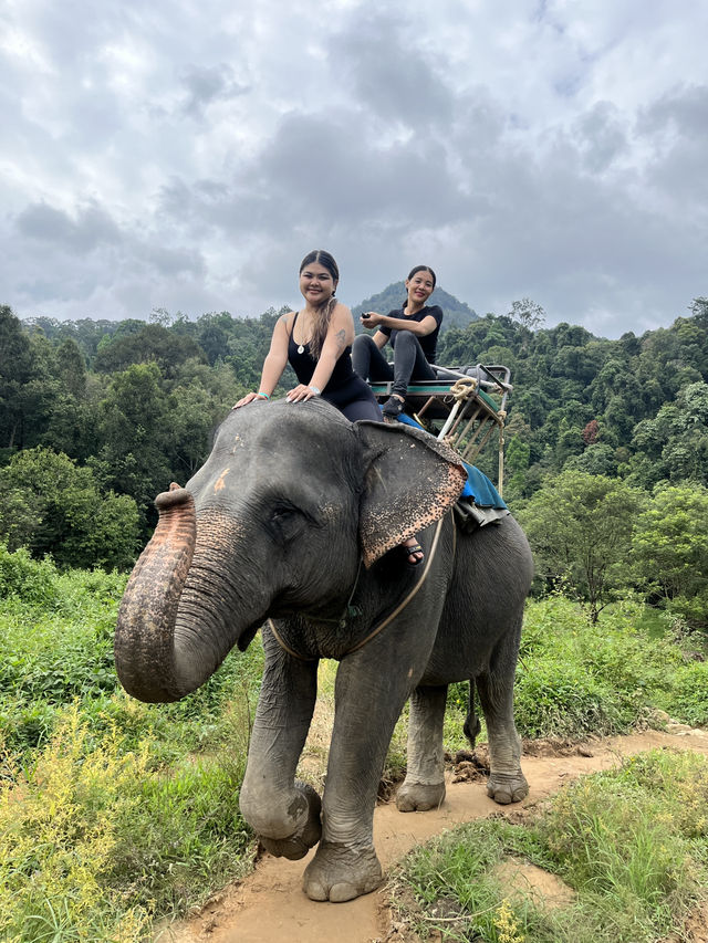 Day Trip to Phuket