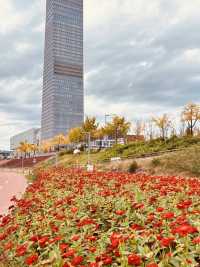 Spring's Urban View: Expo Bridge by Day