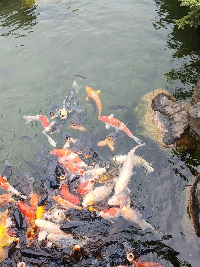 成美文化園，歷史與自然交織的藝術殿堂。