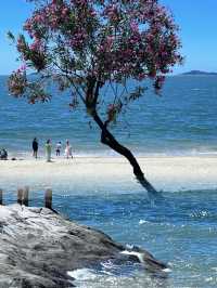 Xiamen’s Best Free Spots 🌊🌿 | Hidden Gems & Chill Vibes