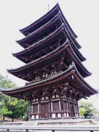 🏯  A Moment of Serenity at Kōfuku-ji✨