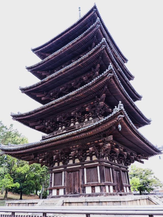 🏯  A Moment of Serenity at Kōfuku-ji✨