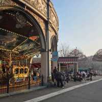 용인 야외데이트 장소 추천 '에버랜드'