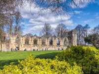 Museum Gardens & St. Mary’s Abbey