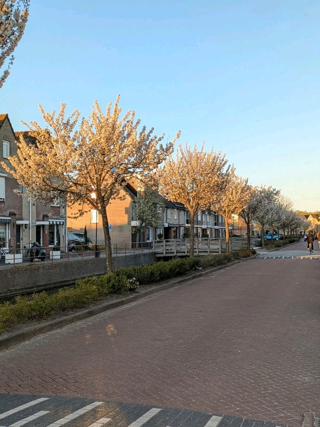 "Volendam: The Timeless Dutch Fishing Village"