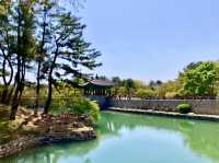 WALK THROUGH TIME | THE ELEGANCE OF NAPJI POND