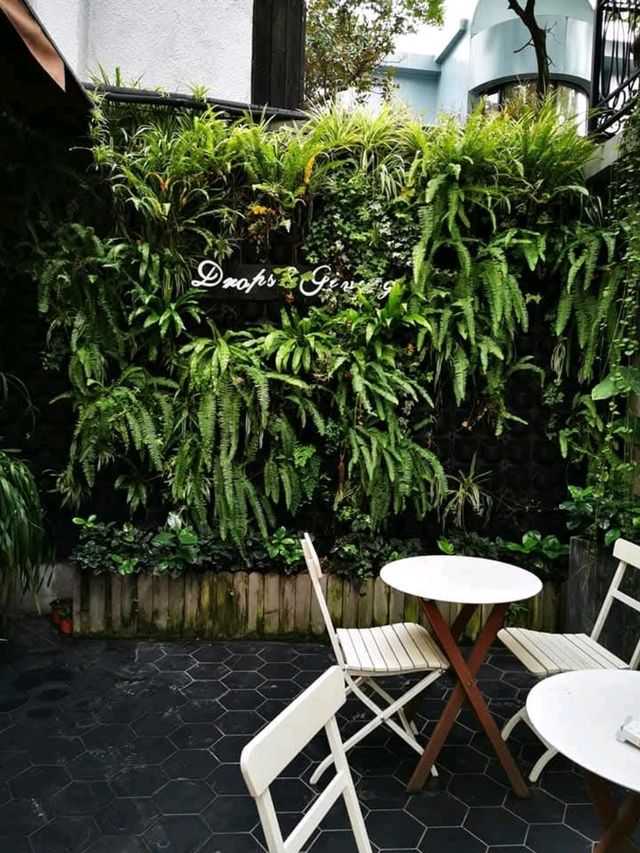 A Cozy Retreat at Drops Café, Wu Kang Lu, Shanghai