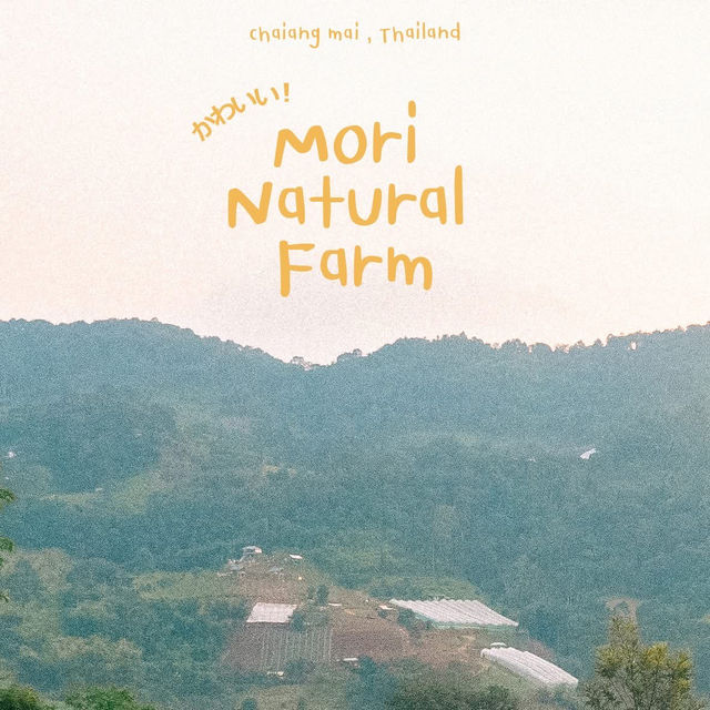 Mori Natural Farm โมริ เนเชอรัลฟาร์ม เชียงใหม่ 🏮🛖