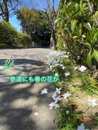 知多四国霊場巡り　第20番礼所　龍台院