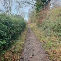 Wandlebury Country Park
