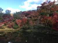 【高台寺の紅葉🍁】
