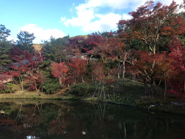 【高台寺の紅葉🍁】
