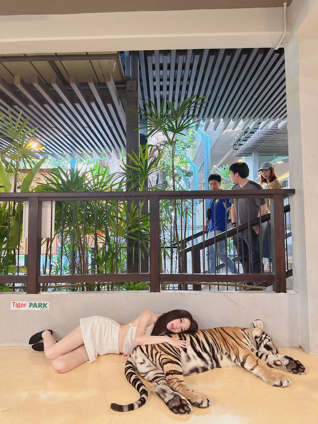 泰國-芭達雅 Tiger Park-Pattaya