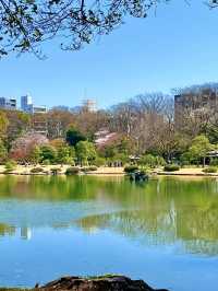 Spring Stroll at Rikugien Garden